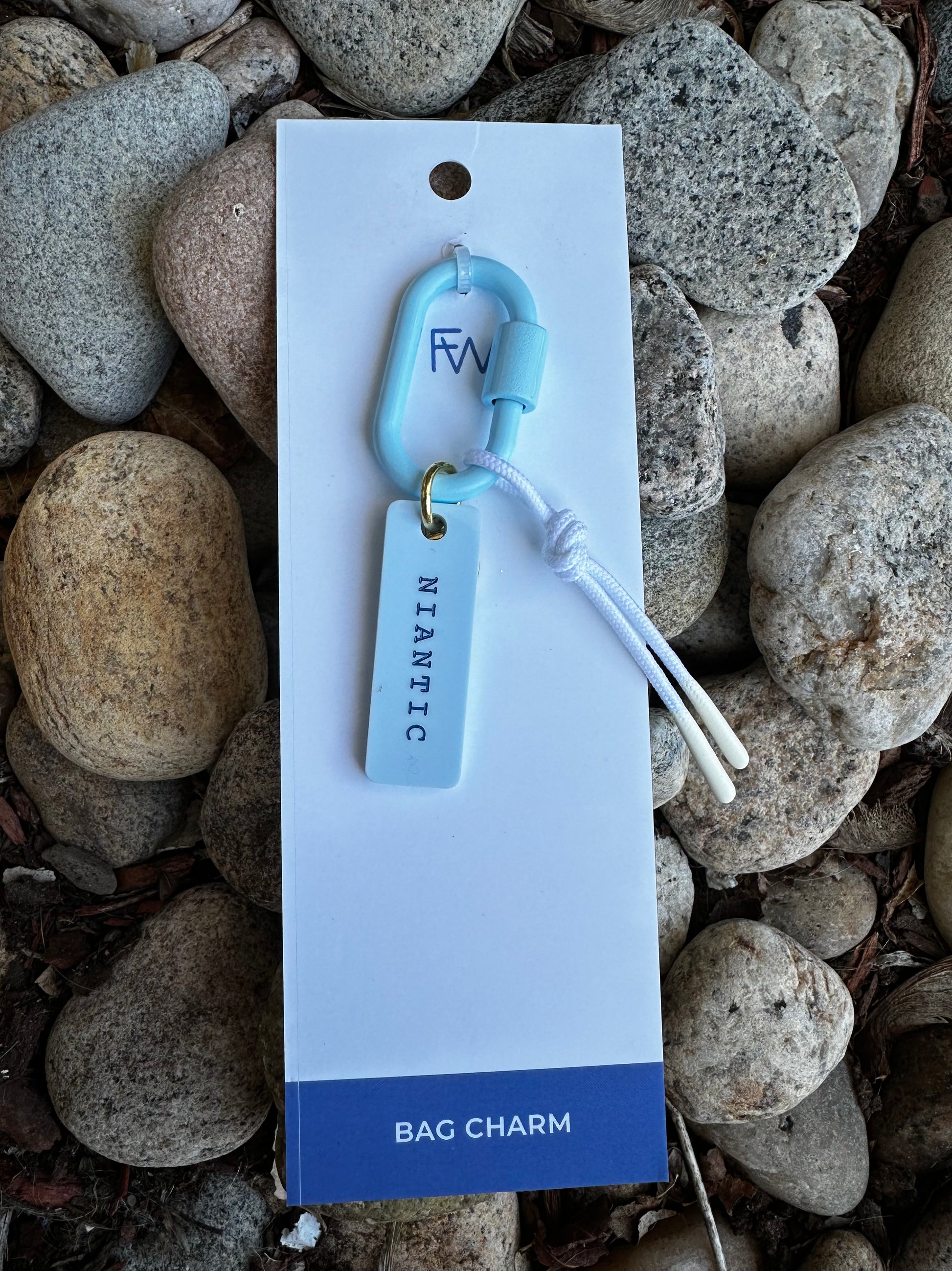 Niantic Bag Charm